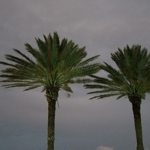 Meet your Posher, Shannon - Picture 4 of 4